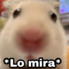 CLo mira