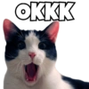 Cats Meme 14