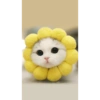 Милый котенок 16