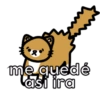Pack de gatitos 25
