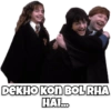 Harry Potter 16