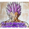 Dragon ball 24