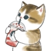 Gatitos <33 16
