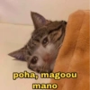 poha, magoou mano