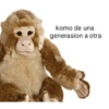 komo de una generasion a otra