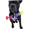 Balam "El perrito Man" 8
