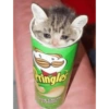Pringles
SOUR CREAM
ONION