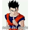 Dragon ball 22