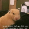 WA La neta si me dio risa lo que dijiste pero me caes mal, así que no me voy a reir