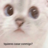 N
tquieres casar conmigo?