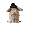 Mucho Texto