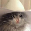 Плачущие кошки 17