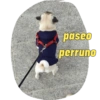 paseo perruno