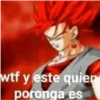 Dragon ball 12