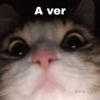 A ver