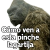 Kong vs Godzilla 10