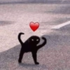 Gatos tiernos #1 24