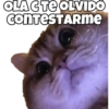 OLAC TE OLVIDO CONTESTARME