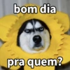 Cachorrinhos sinceros 🐶🌝 10