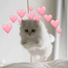 Gatos tiernos #1 7