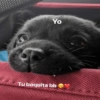 Yo
Tu boquita bb