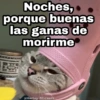 Noches,
porque buenas
las ganas de
morirme
aHarlay_Stickers