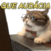 GATINHOS EXPRESSIVOS 😸 12