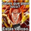 Dragon ball 13