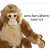 tanto bandalismo karamba