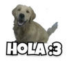 Perritos 7