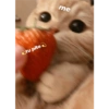 Michis tiernos hechos de amor 13