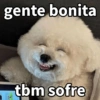 Cachorrinhos sinceros 🐶🌝 5