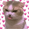 Memes pa enamorados 🤩 12