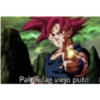 Dragon ball 16