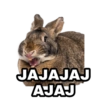 JAJAJAJ
AJAJ
