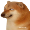 PERRITO CM 1 6
