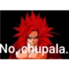 Dragon ball 15