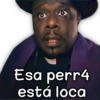 ️Memes Mixed 13