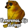 Memes de Perros 2🐶😂 5