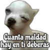 Memes de Perros 2🐶😂 10