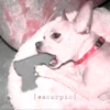 [escorpio]