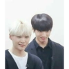 Stickers de bts & blackpink 26