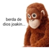 berda de dios joakin...