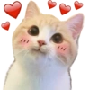 Gatitos heart 3 (mejores) 6