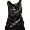MEMES PRO ZAP 9