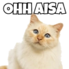 Cats Meme 12