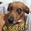 Figurinhas que vc precisa 🤭 7