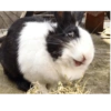 @hannah_kelha 12