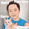 Las Aventuras Del Harry T1 GIF 14