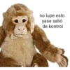 no lupe esto yase salió de kontrol